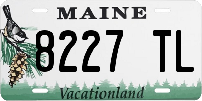 ME license plate 8227TL