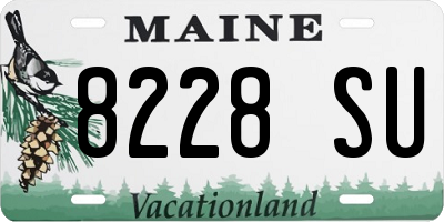 ME license plate 8228SU