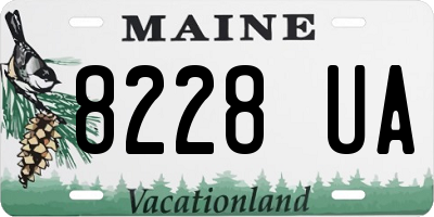 ME license plate 8228UA