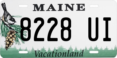 ME license plate 8228UI