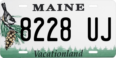 ME license plate 8228UJ