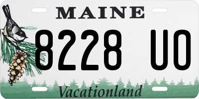 ME license plate 8228UO