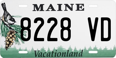 ME license plate 8228VD