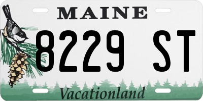 ME license plate 8229ST
