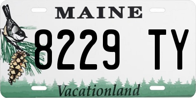 ME license plate 8229TY