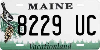 ME license plate 8229UC