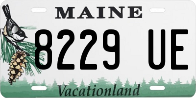 ME license plate 8229UE