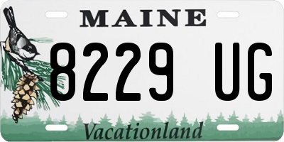 ME license plate 8229UG