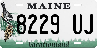 ME license plate 8229UJ