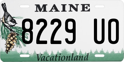ME license plate 8229UO