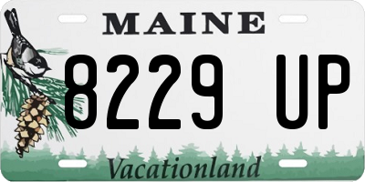 ME license plate 8229UP