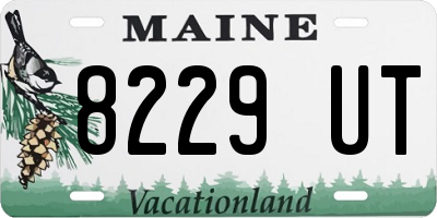 ME license plate 8229UT