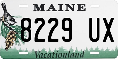 ME license plate 8229UX