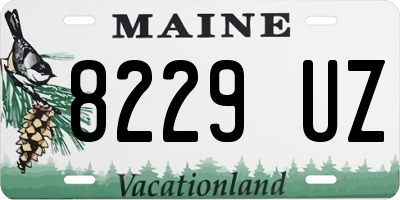 ME license plate 8229UZ