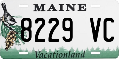 ME license plate 8229VC