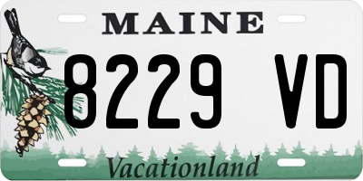 ME license plate 8229VD