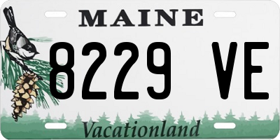 ME license plate 8229VE