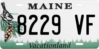 ME license plate 8229VF