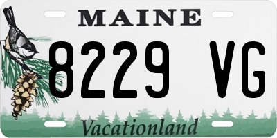 ME license plate 8229VG