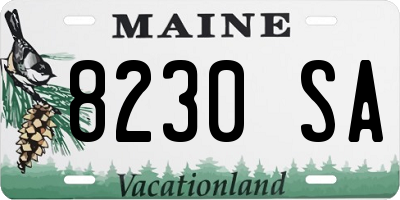 ME license plate 8230SA