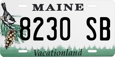 ME license plate 8230SB