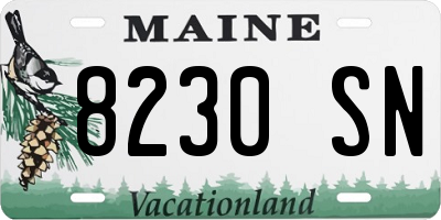 ME license plate 8230SN