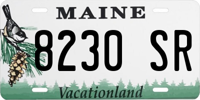 ME license plate 8230SR