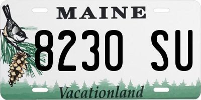 ME license plate 8230SU