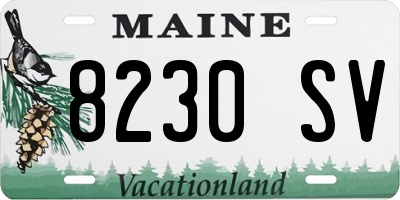 ME license plate 8230SV