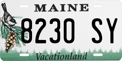 ME license plate 8230SY
