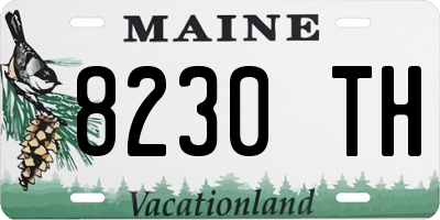 ME license plate 8230TH