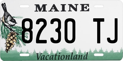 ME license plate 8230TJ