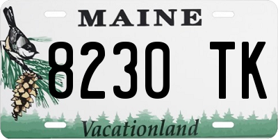 ME license plate 8230TK