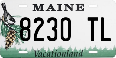 ME license plate 8230TL
