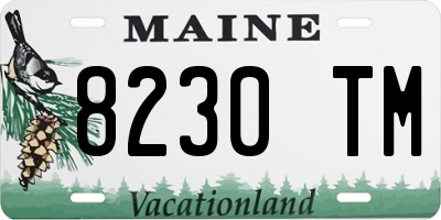ME license plate 8230TM
