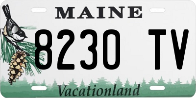 ME license plate 8230TV