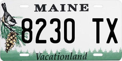ME license plate 8230TX