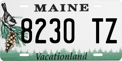 ME license plate 8230TZ