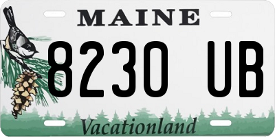 ME license plate 8230UB