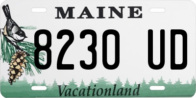 ME license plate 8230UD