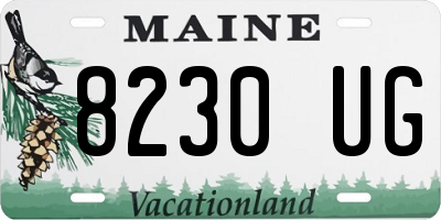 ME license plate 8230UG