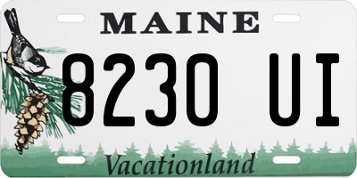 ME license plate 8230UI
