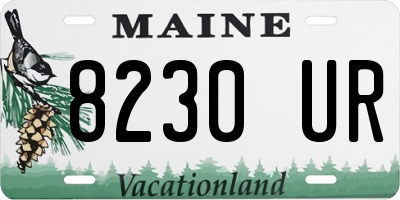 ME license plate 8230UR