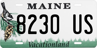 ME license plate 8230US