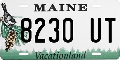 ME license plate 8230UT
