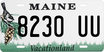 ME license plate 8230UU