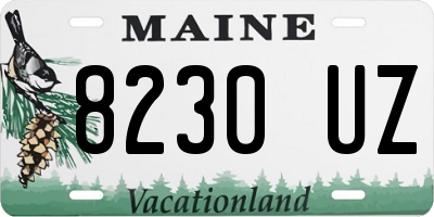 ME license plate 8230UZ