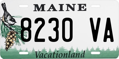 ME license plate 8230VA