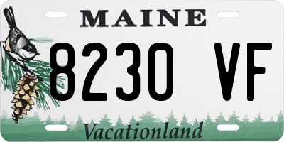 ME license plate 8230VF