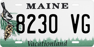 ME license plate 8230VG